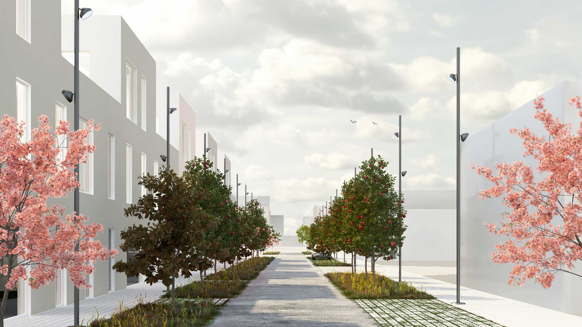 MIRALCAMP FUTUR